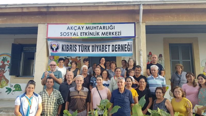 Diyabet: Teoriden Pratiğe
